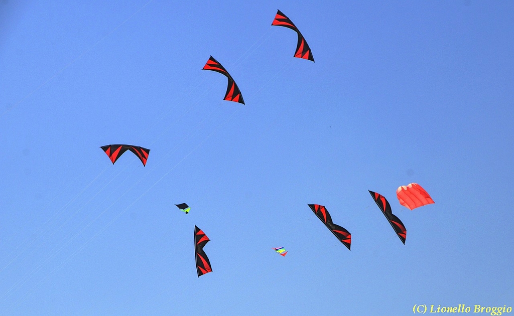 32 FESTIVAL CERVIA 2012 - 216.jpg